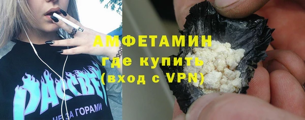 индика Богородицк