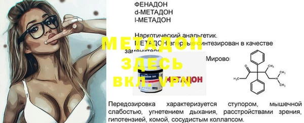 индика Богородицк