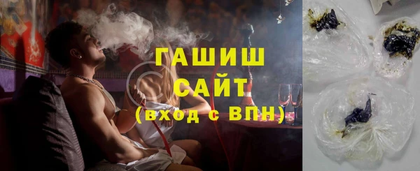 индика Богородицк