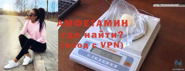 индика Богородицк