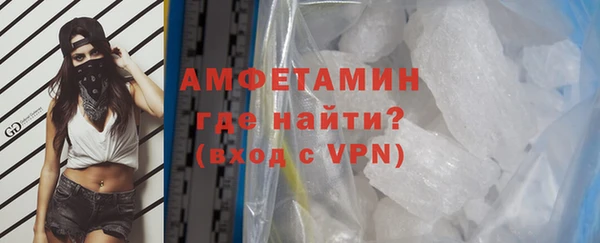 индика Богородицк