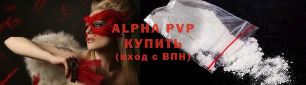 индика Богородицк