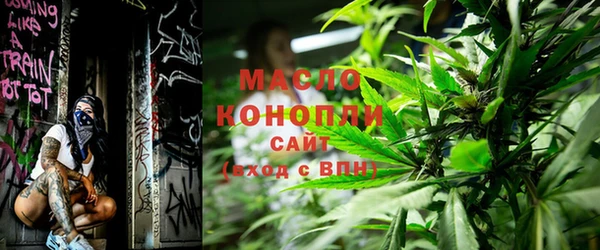 индика Богородицк