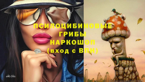 прущие крисы Богородск