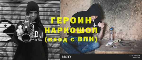 индика Богородицк