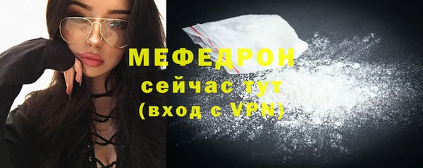 индика Богородицк