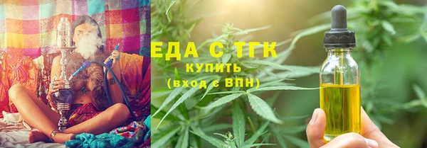 индика Богородицк